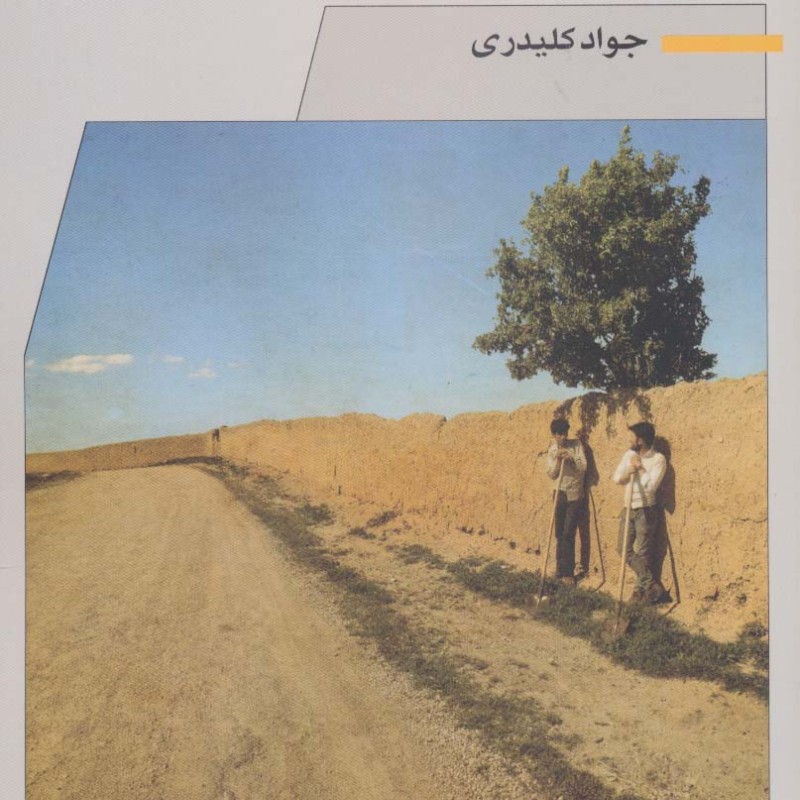 نیم رخ تابستان