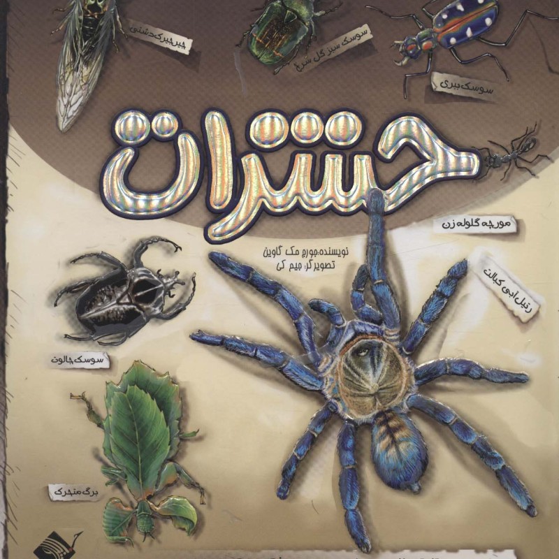 کتاب برجسته حشرات