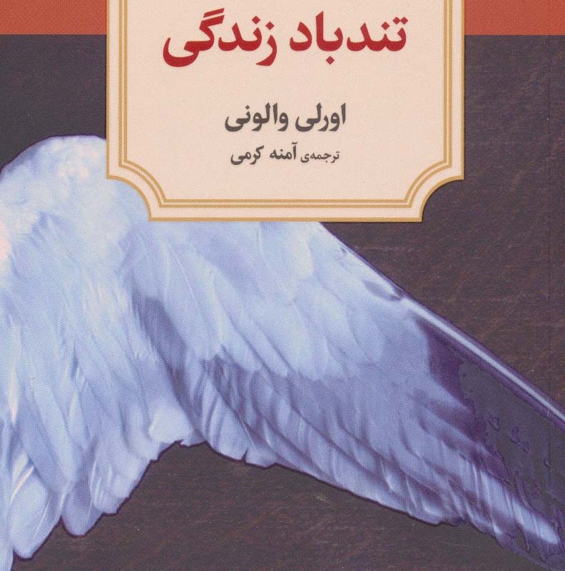 تندباد زندگی