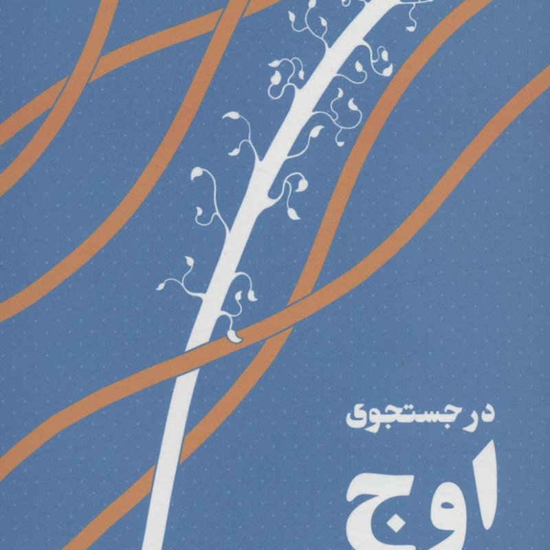در جستجوی اوج