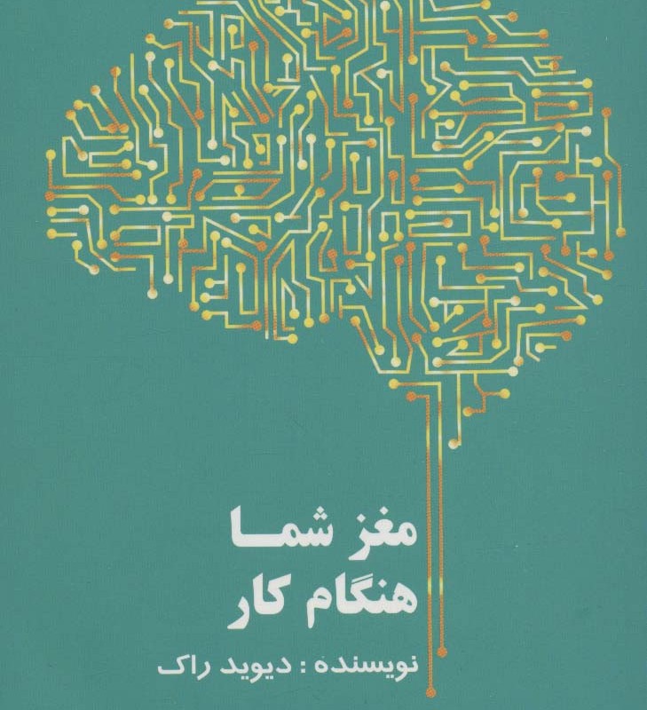 مغز شما هنگام کار - دیوید راک
