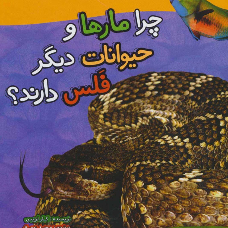 چرا مارها و حیوانات دیگر فلس دارند؟