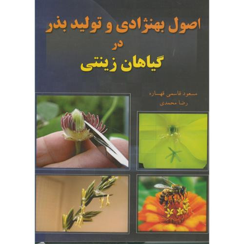 تو امیدم باش