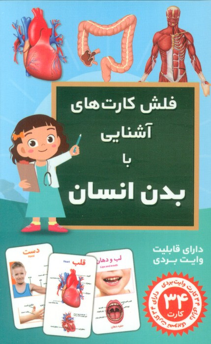 فلش کارت آموزشی آشنایی با بدن انسان