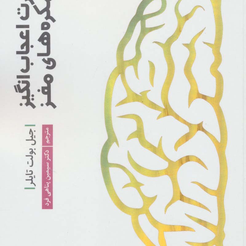 قدرت اعجاب انگیز نیمکره های مغز