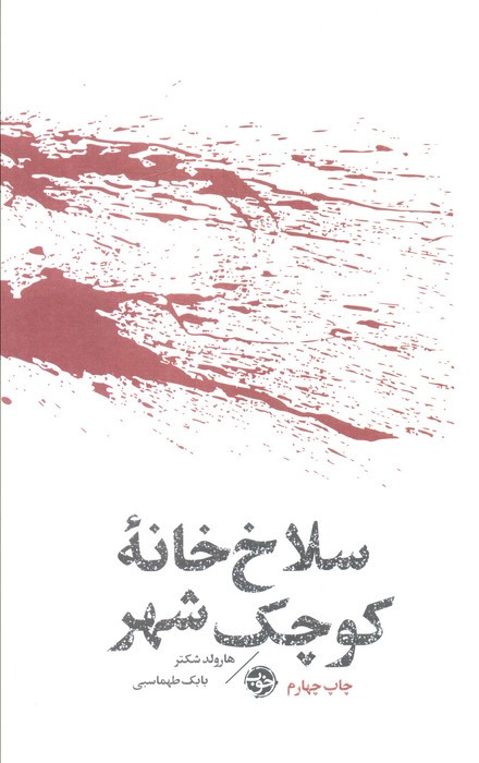 سلاخ خانه کوچک شهر