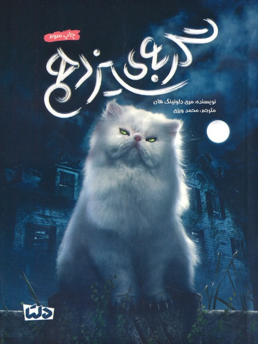 گربه سیزدهم
