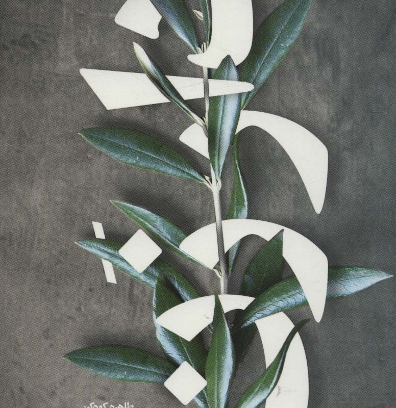 دار زن