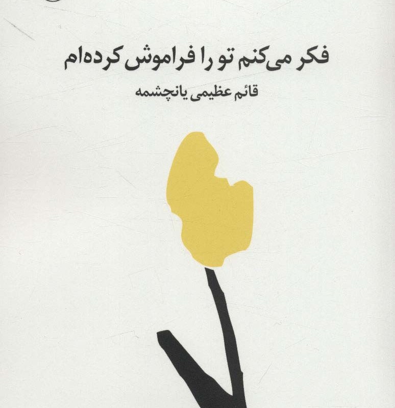 فکر می کنم تو را فراموش کردم