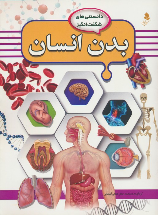 بدن انسان نشر کمال اندیشه