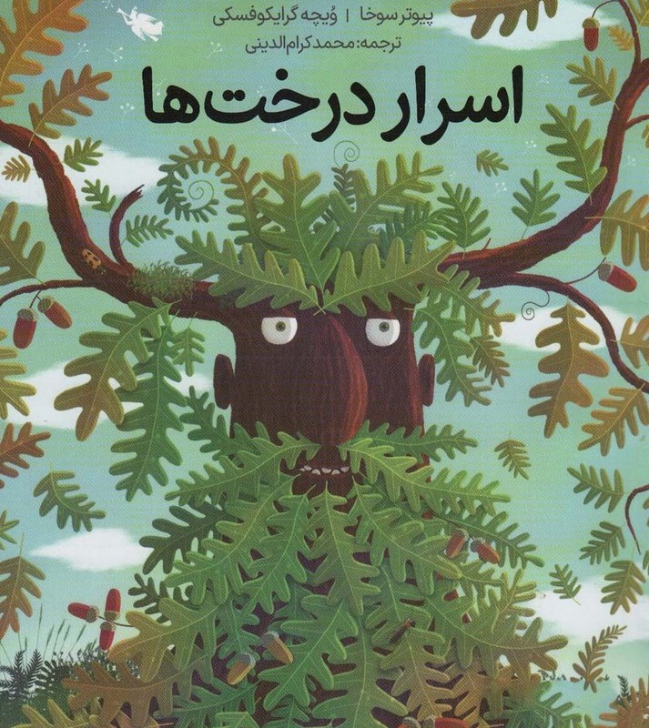 اسرار درخت ها