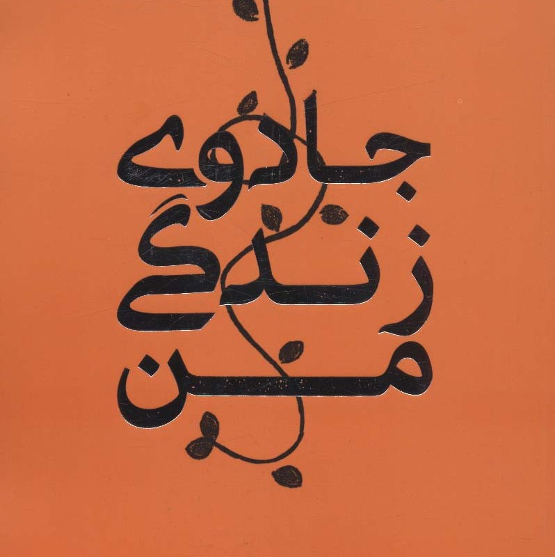 کتاب جادوی زندگی من