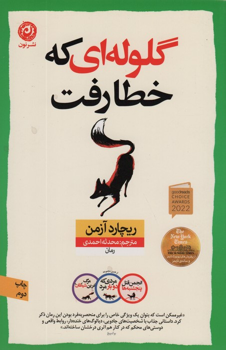 گلوله ای که خطا رفت