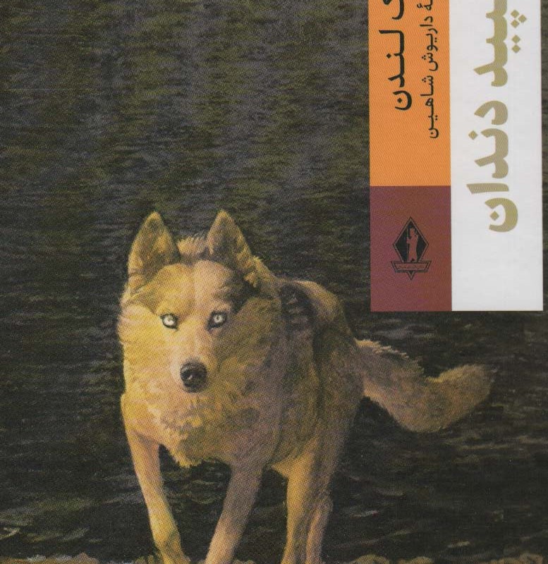 سپید دندان نشر جاویدان