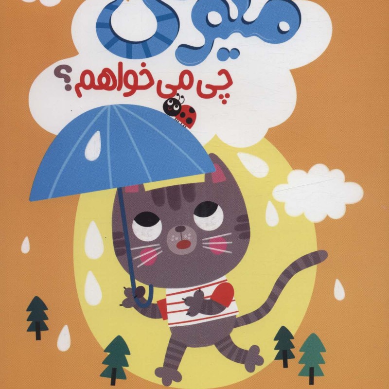 میومی چی می خواهم؟