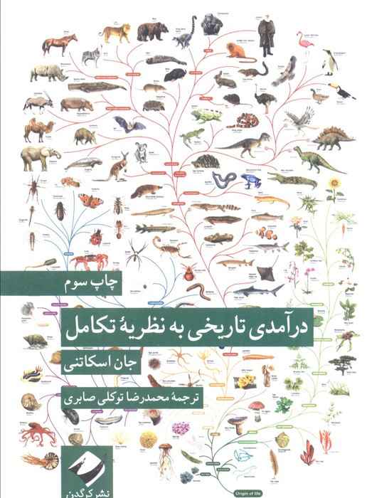 در آمدی تاریخی به نظریه ی تکامل