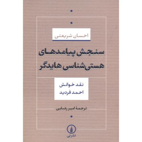 سنجش پیامدهای هستی شناسی هایدگر