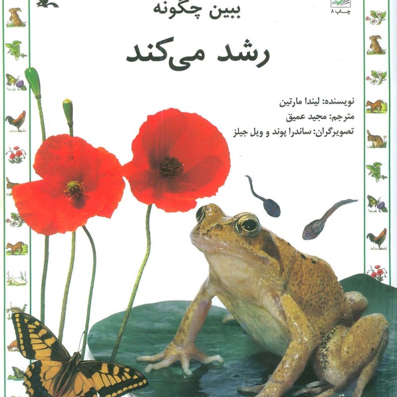 ببین چگونه رشد می کند