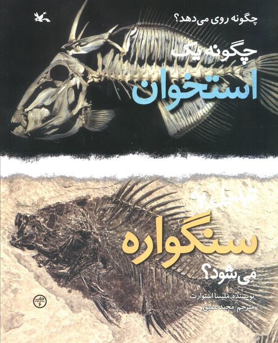 چگونه یک استخوان تبدیل به سنگواره می شود؟
