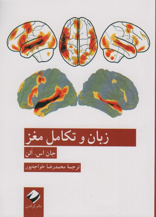 زبان و تکامل مغز شمیز،رقعی،کرگدن