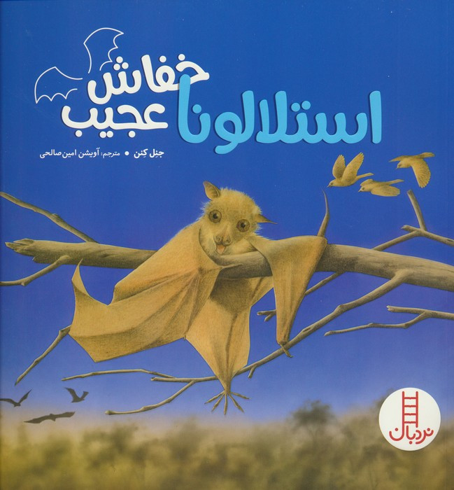 استلالونا خفاش عجیب