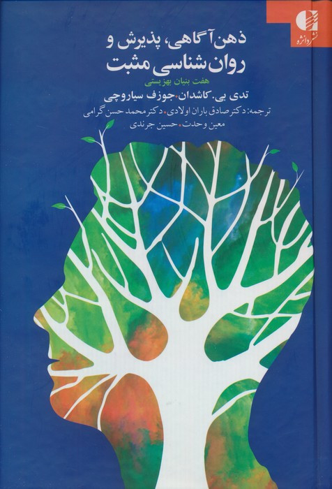 ذهن آگاهی پذیرش و روان شناسی مثبت