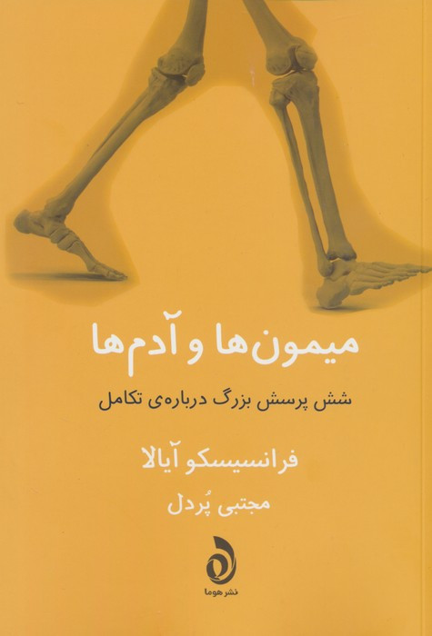 میمون ها و آدم ها