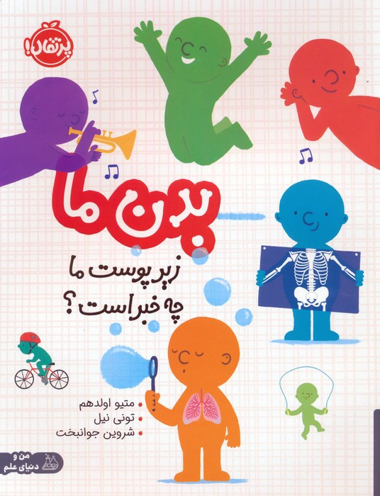 بدن ما زیر پوست ما چه خبر است؟