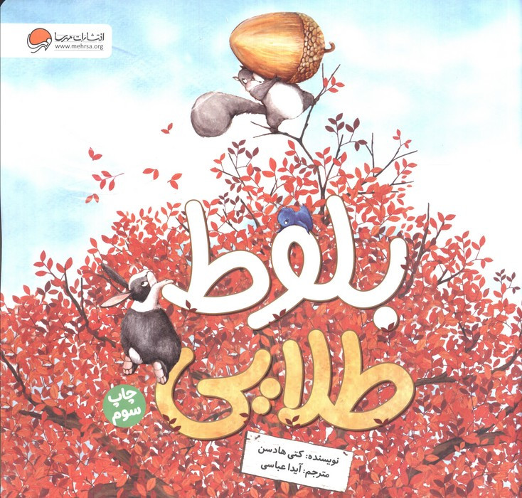 بلوط طلایی