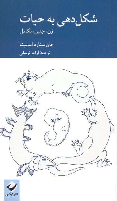 شکل دهی به حیات