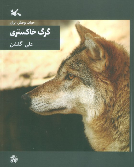 گرگ خاکستری نشر کانون پرورش فکری کودکان و نوجوانان