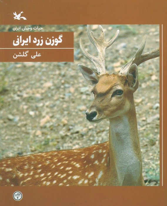 گوزن زرد ایرانی نشر کانون پرورش فکری کودکان و نوجوانان