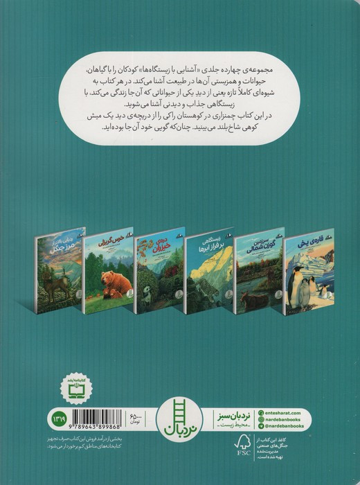 ردپایی بالاتر از مرز جنگل