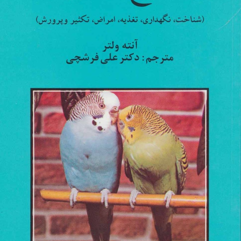 مرغ عشق نشر روزبهان قطع وزیری