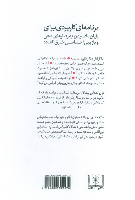 زندگی خود را دوباره بیافرینید نشر شمشاد قطع رقعی