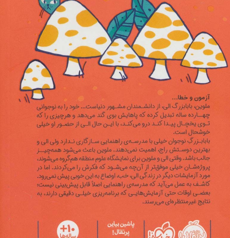 سومین قارچ