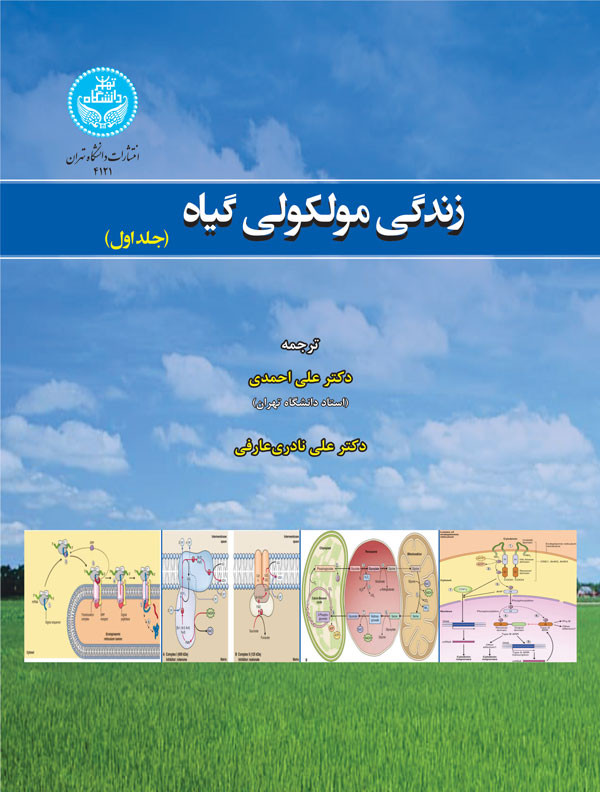 زندگی مولکولی گیاه