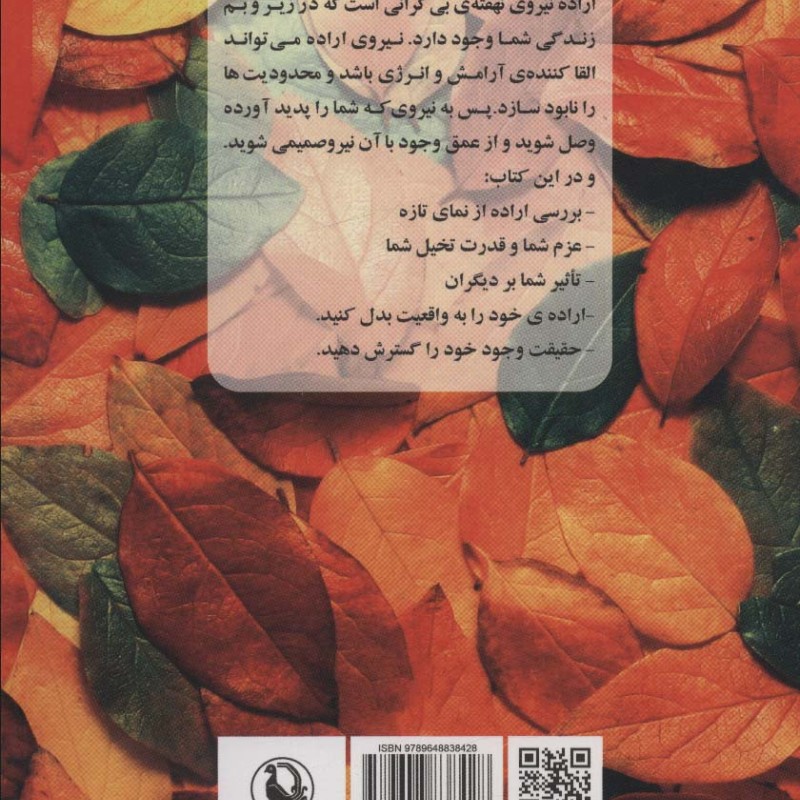 نیروی اراده