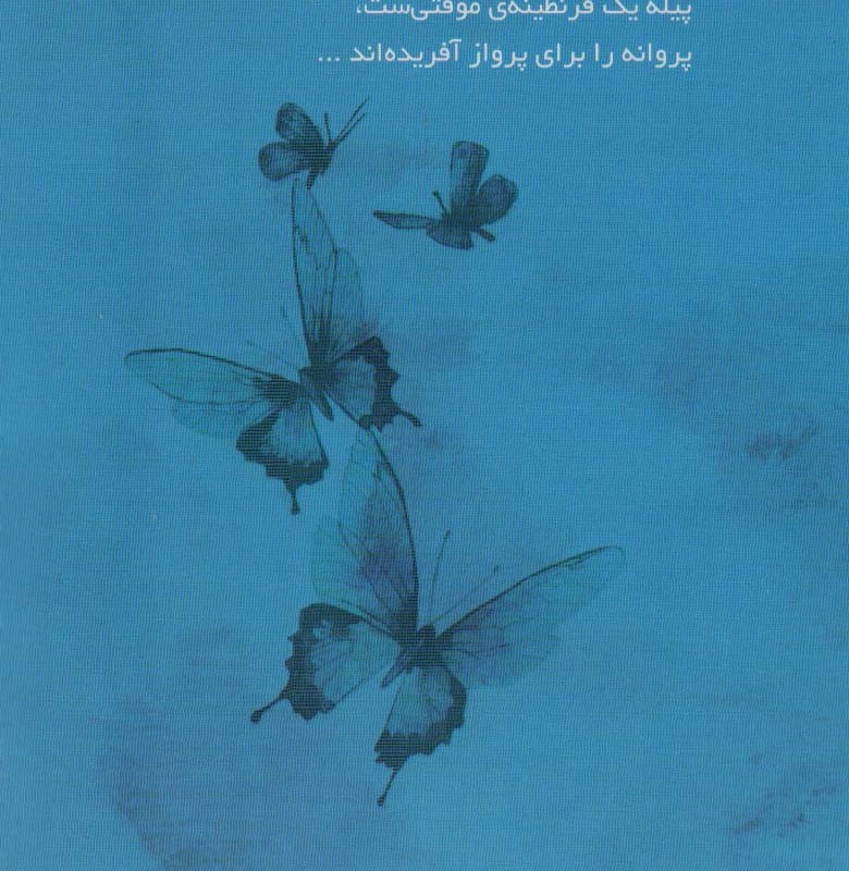 بدون بال پرواز کن