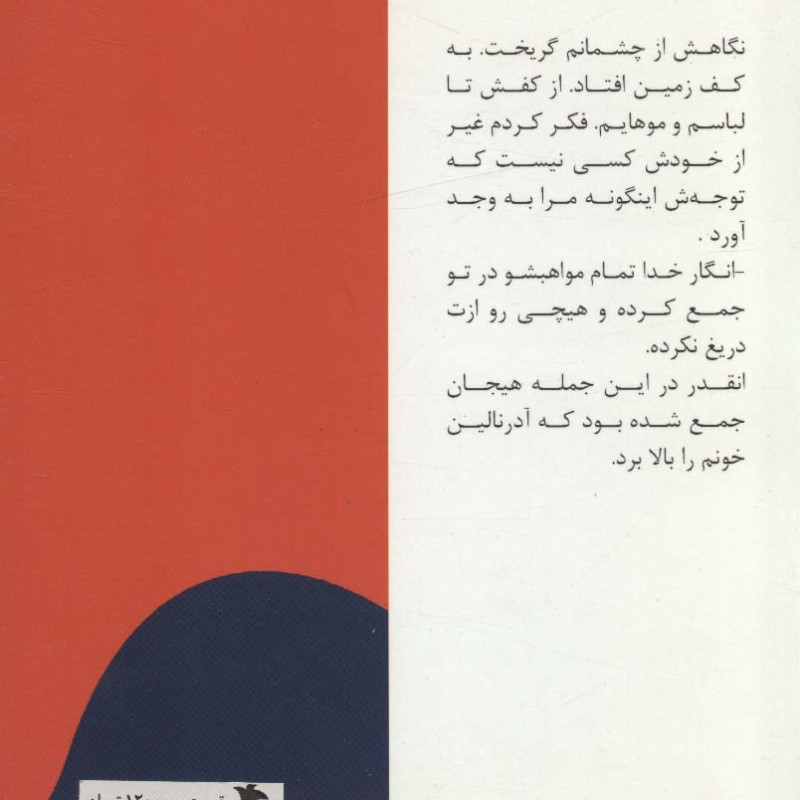 مثل هیج شب