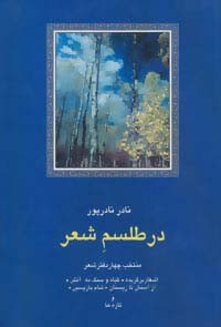 در طلسم شعر منتخب چهار دفتر شعر