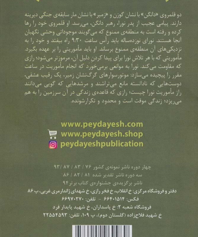 دختری که صورتش را جا گذاشت