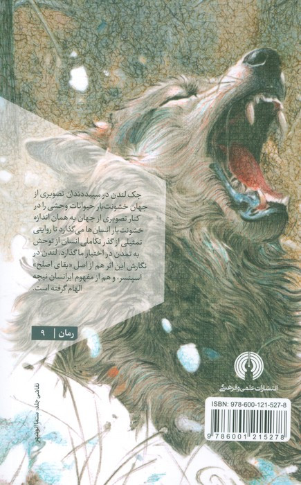 سپید داندان