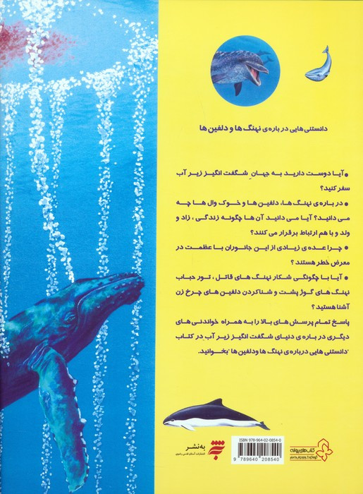 دانستنیهایی درباره نهنگ ها و دلفینها