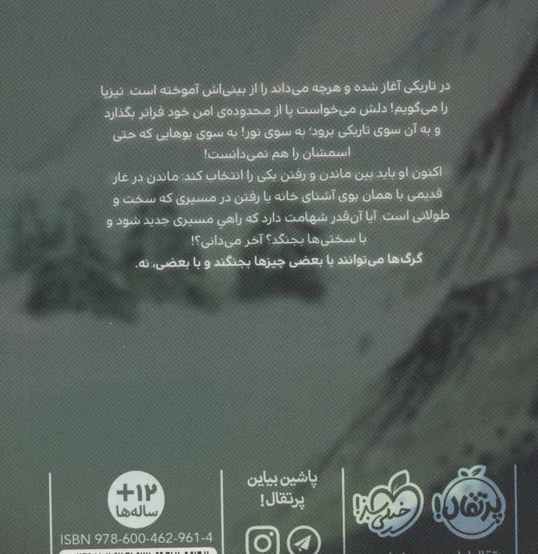 کتاب ستاره گرگ اثر روزان پری ترجمه زهرا توفیقی