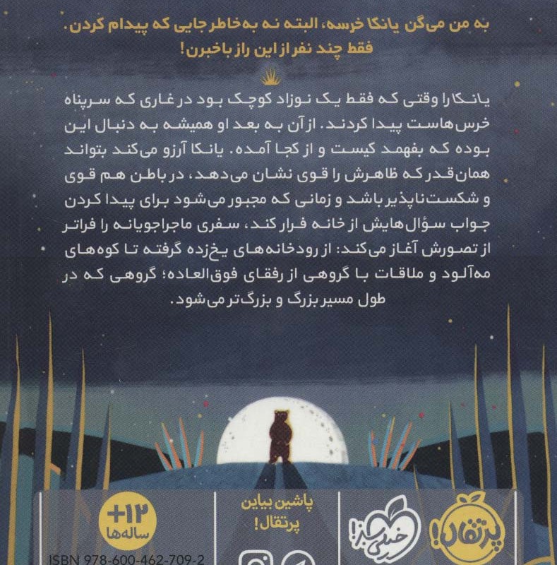 کتاب یانکا و افسانه جنگل سفید اثر سوفی اندرسون