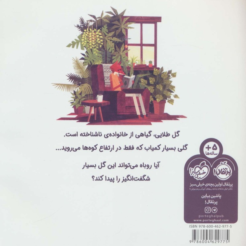 کتاب گلی به رنگ خورشید اثر بنجامین فلاو