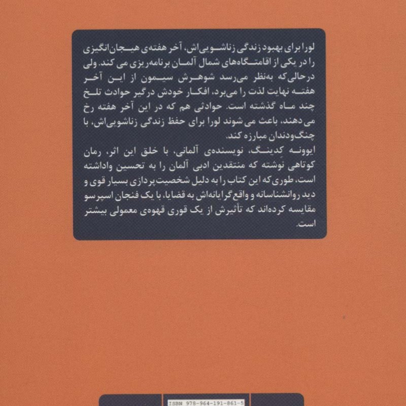 یک سال در سه روز