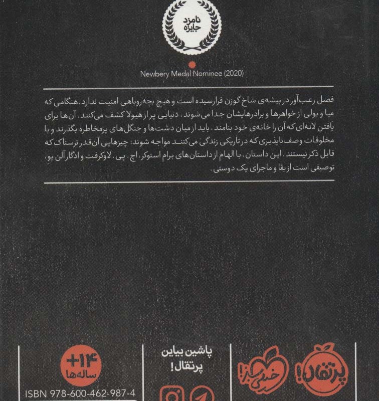 کتاب قصه گوی جنگل سیاه اثر کریستین مک کی هایدکر