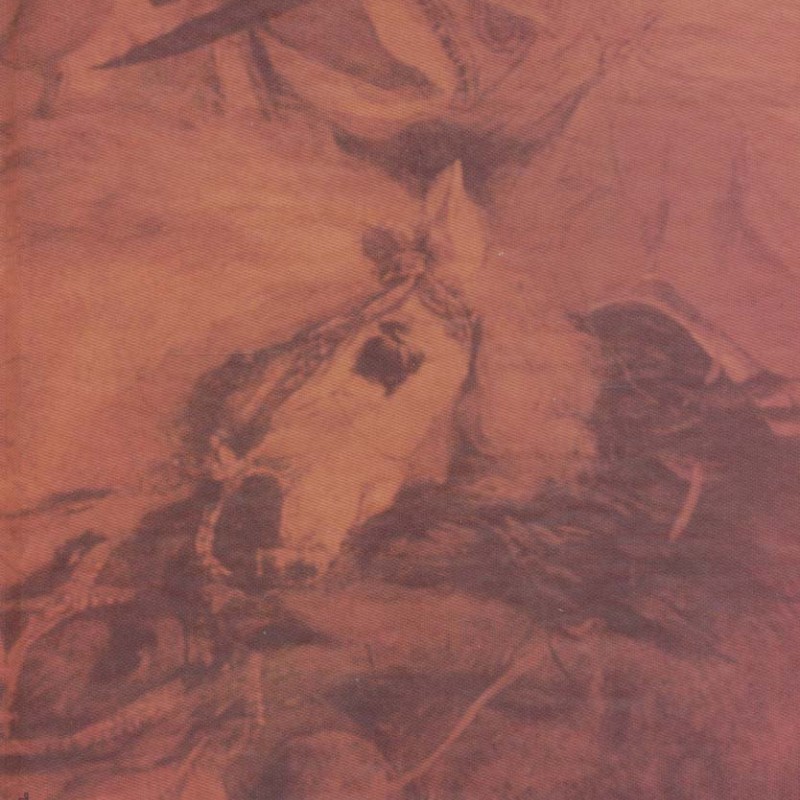 دلاوران عرب